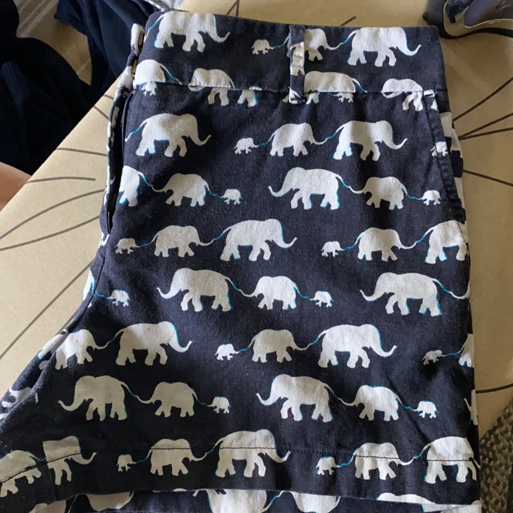 Loft elephant print shorts